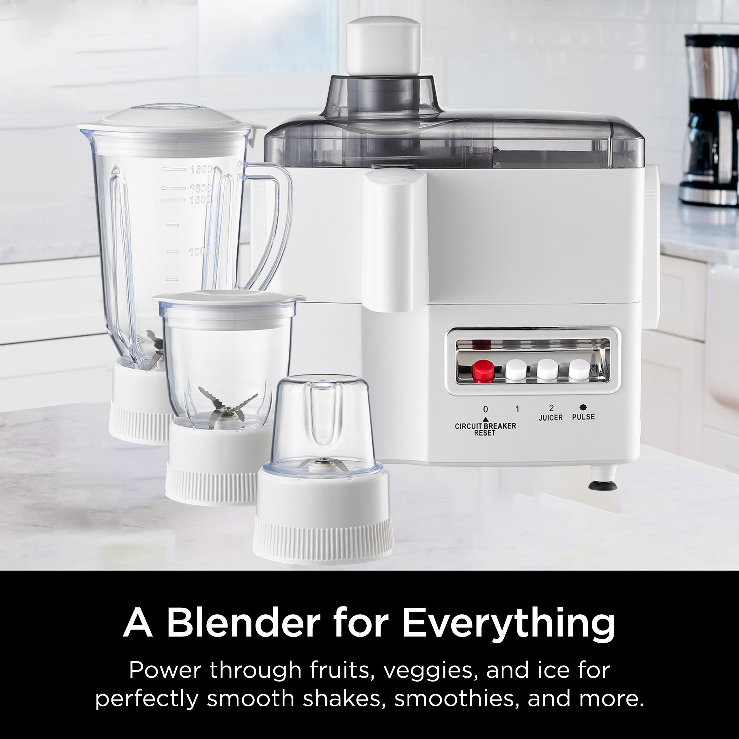 4 in 1 다목적 가정용 주방 가전 푸드 프로세서 주 - Blender 리뷰 및 가격