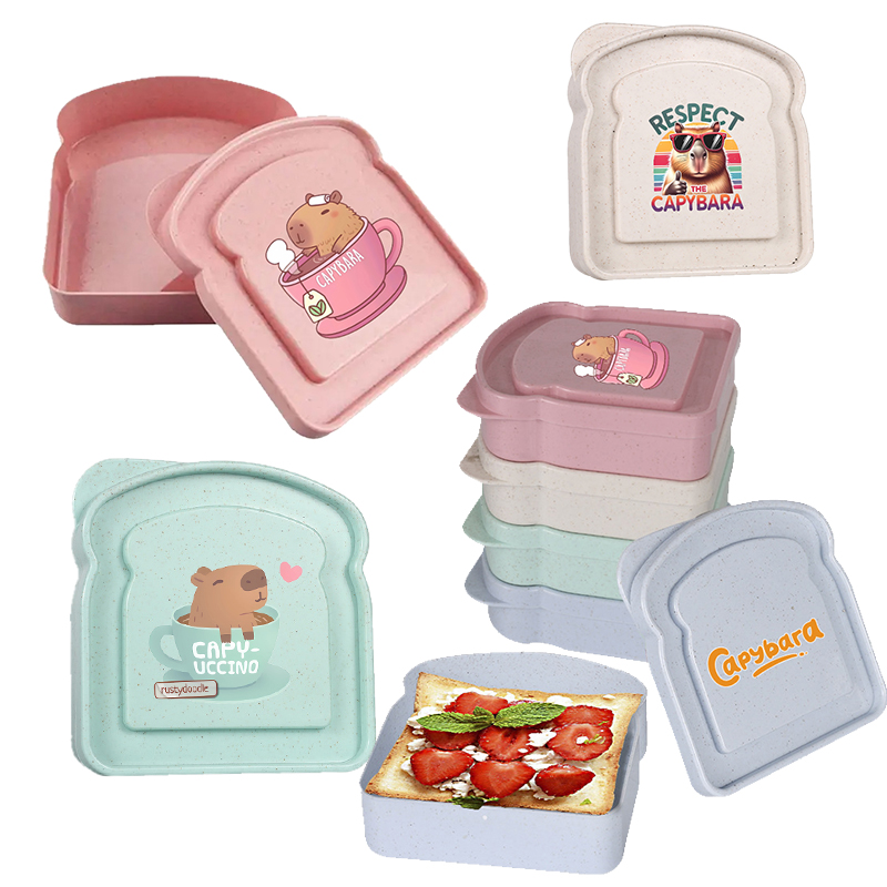 카피바라 샌드위치 음식 보관 케이스 컨테이너 샐러드 과 - Microwave Oven 리뷰 및 가격