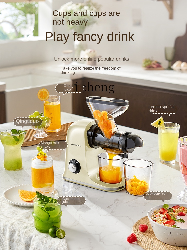 cc28 저속 착즙기 주스와 찌꺼기 분리 가정용 과일  - Juicer 리뷰 및 가격