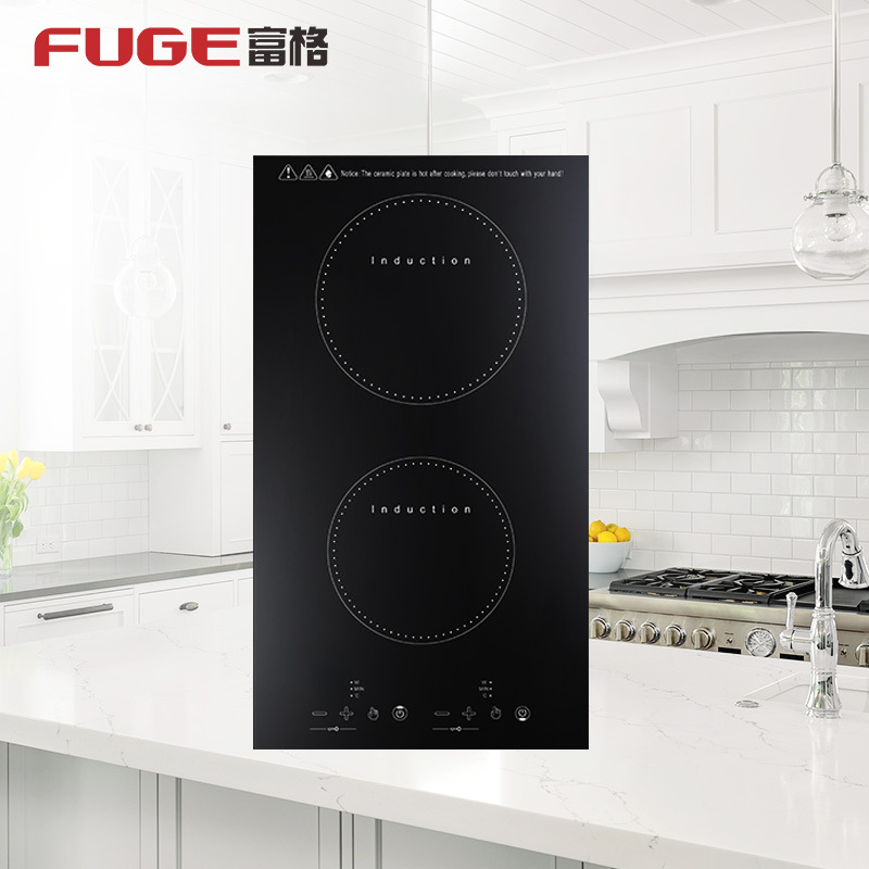 AOLIVIYA 고출력 더블 버너 인덕션 쿡탑 스토브  - Induction Cooktop Portable 리뷰 및 가격