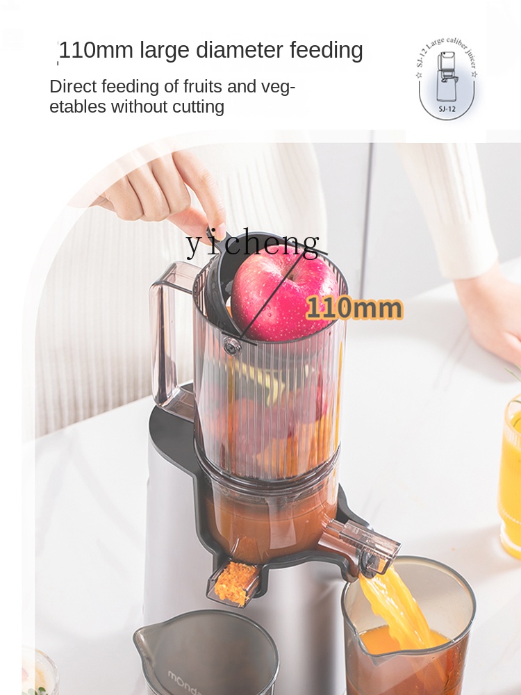 cc28 자동 찌꺼기 분리 주서기 신형 가정용 소형 대 - Juicer 리뷰 및 가격